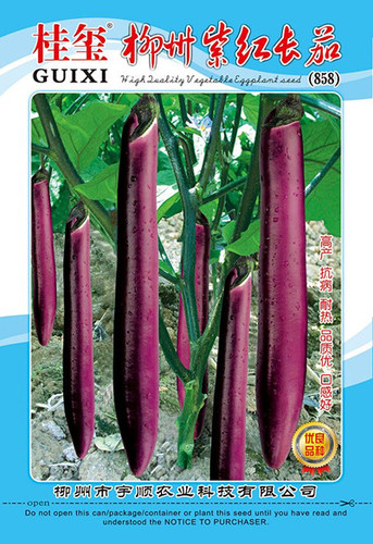 柳州紫紅長茄